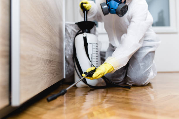 Best Pest Control Near Me in Alliance, OH