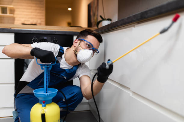 Best Bed Bug Extermination  in Alliance, OH
