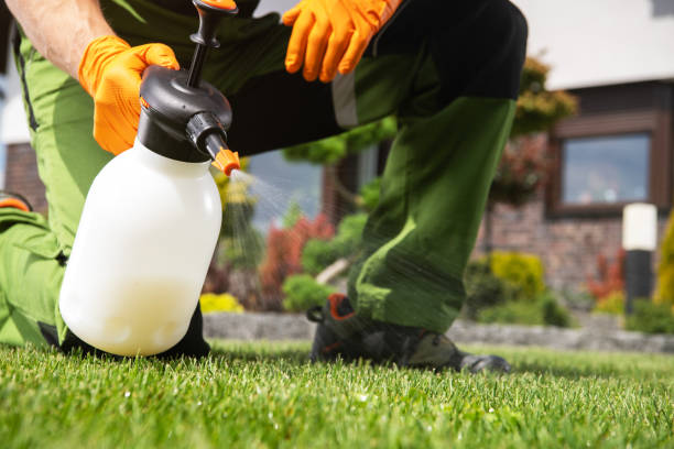 Best Wasp Removal Services  in Alliance, OH