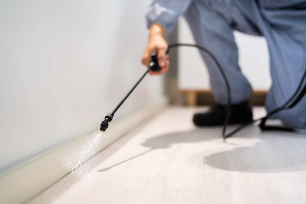 Flea Control Services in Alliance, OH