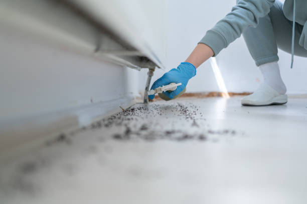 Best Cockroach Control Services  in Alliance, OH
